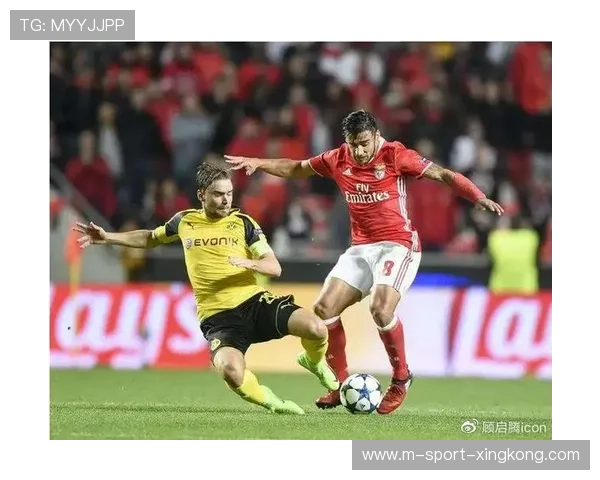 本菲卡后防磨合良好，失球率逐步下降